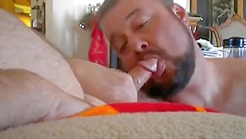 Two hot and two chicks share a cock