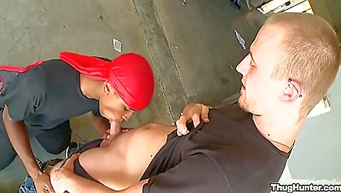 Mocha and carnal sadist stoodle jockpussy downward deal for her first time